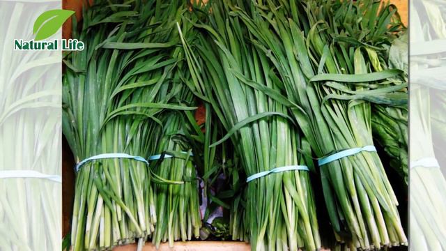 Cbc39fe925b60ec00410b35637588c13