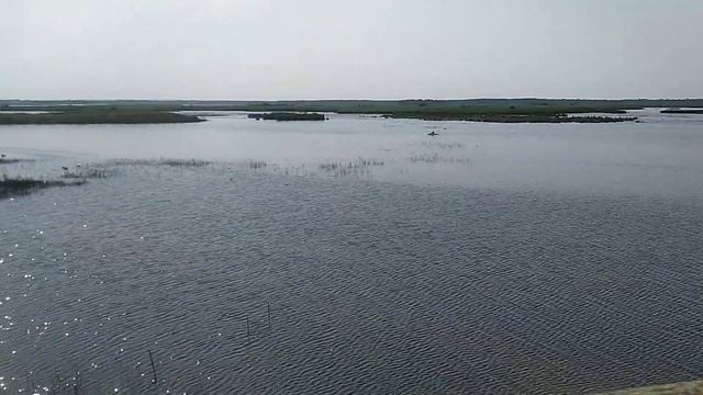 22 июля 2022 Латвия Engure