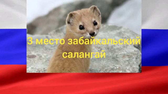 810394453ae5a70a0ec63ada6bc6b249