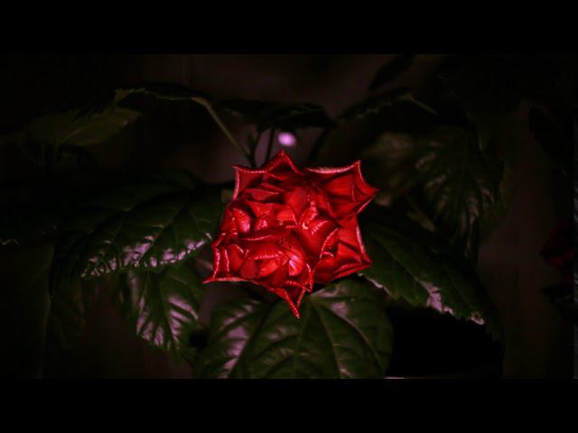 39214b67c18d57638cd8c0de8810f693