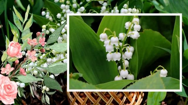 6b600953d215a42045659ccb0cb057f4