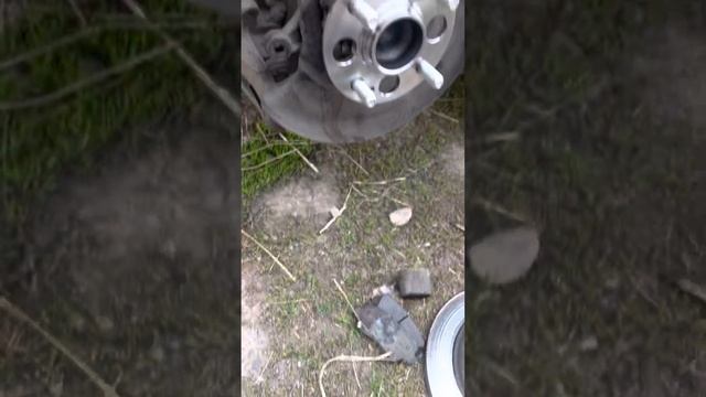 Автоблоггеры в действии