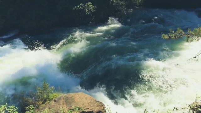 Relaxing River Sounds - Gentle River, Nature Sounds, Singing Birds Ambience RMN