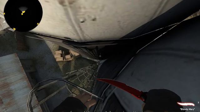 Дубль два с Тимой