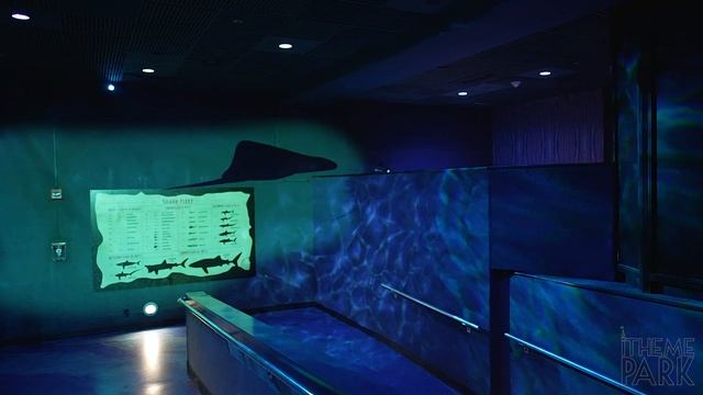 SeaWorld Shark Encounter 2022 Cinematic 4K Tour Orlando Florida