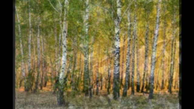 !Воскресная школа храма святителя Николая в Сабурово День Победы2020!