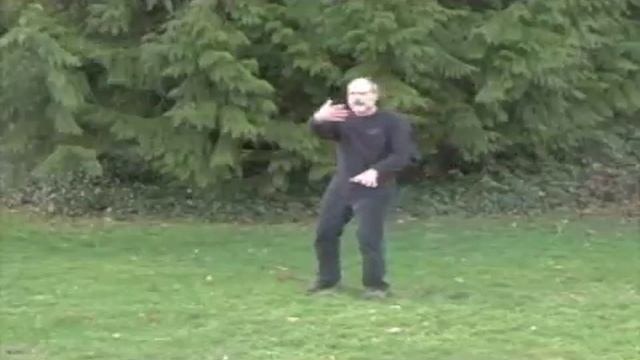 Shibashi Taiji-qigong With George Draffan