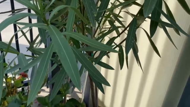 3b65913c5caa67915fa928129b9f022f