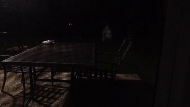 Evil Creature-  Caught On Tape By Rick Grebenik