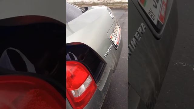 Нисан-шоубизнес