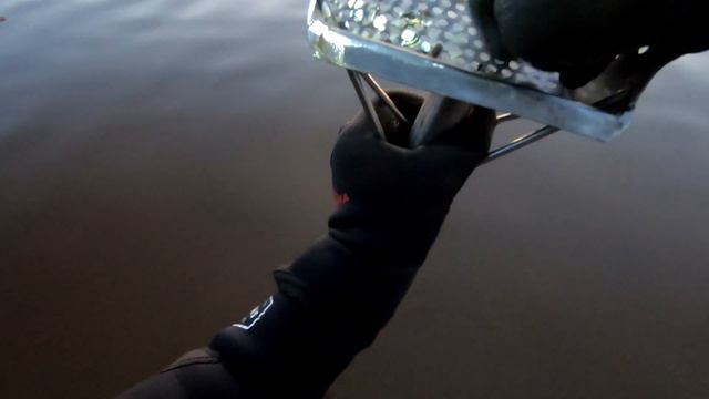 Первое золото с COILTEK 14x9 для Эквинокс.