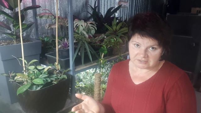 Агрессия в соцсетях!!!  Как же с этим справиться?🤬