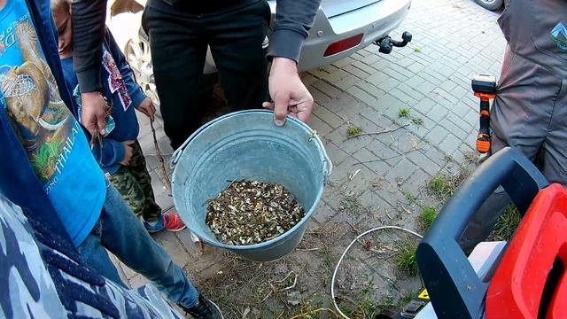 Самый дешевый измельчитель веток для сада и огорода испытания