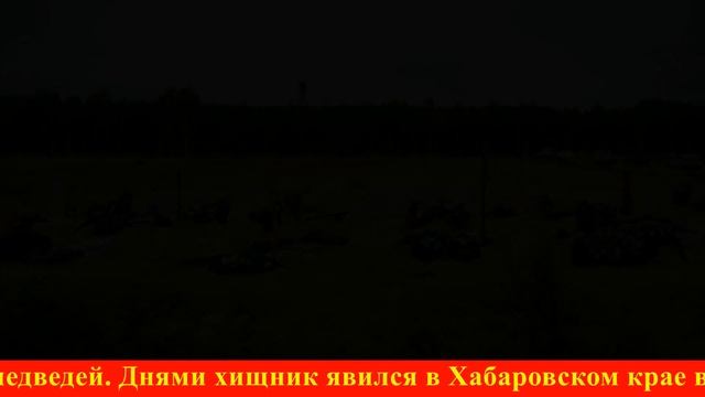 D72b749dfb3ee4e13dcb6c7fc38ac07a