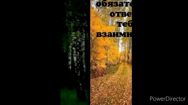 С добрым утром красивое видео поздравление с добрым утром