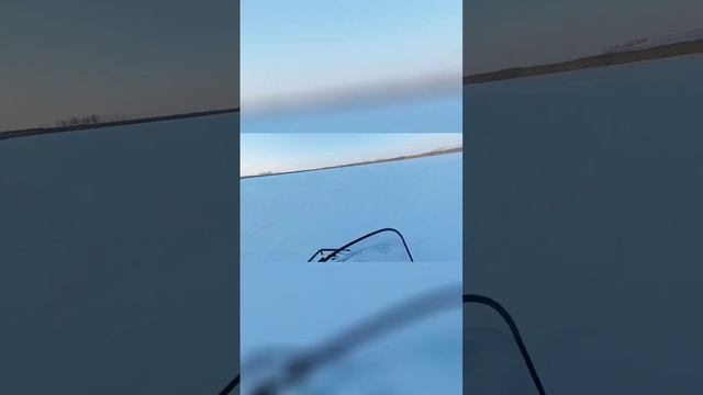 Тайга Варяг 550V может