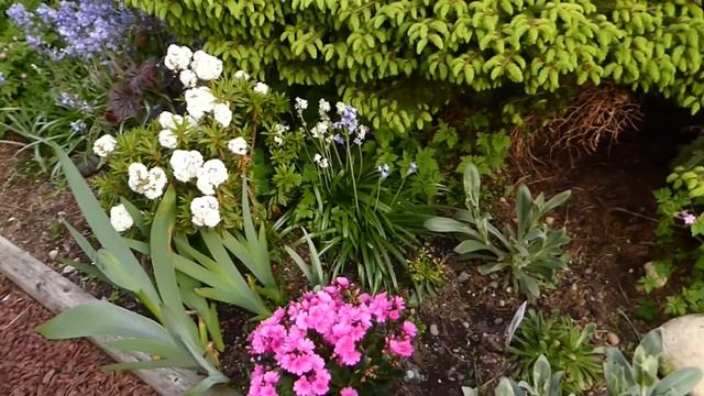 473afab66a4ab238c1113fafbf68723c