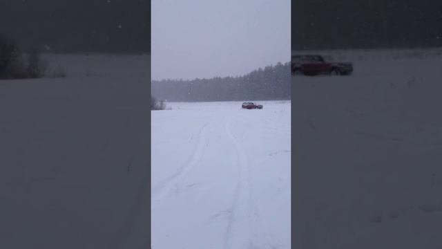 Машиночувствительность