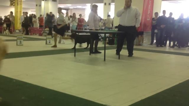 Бн1 сравнение на лк движения