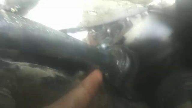 Мир экономичных автомобилей