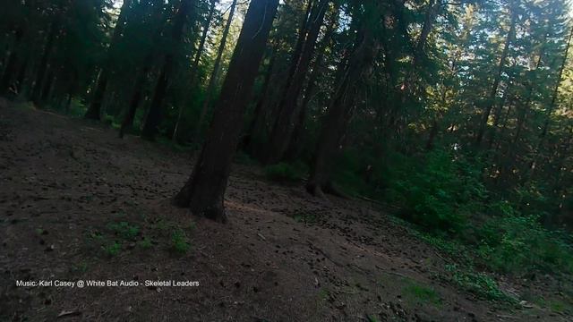 7de6d5d26183022878adb54a02e2e7d2