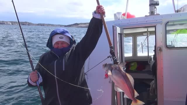 5d7fb8ba559ee4a1c21ae559fa590dfd