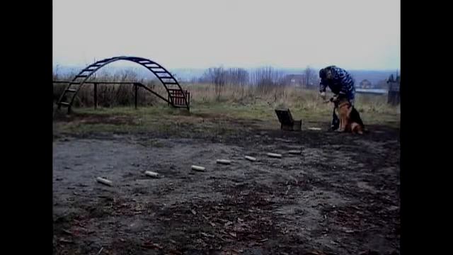 188bc63978c34bfe040f5f78dfb40709