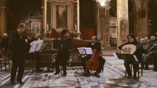 HELIANTHUS ENSEMBLE (EPK)