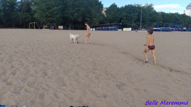 Belle's First Time At The Beach.Белль впервые на пляже.