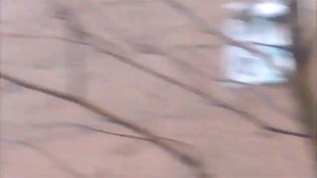 Голос сороки