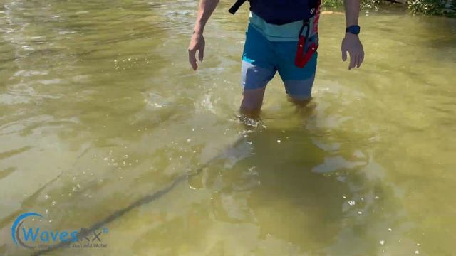 442626aa0431b486602fabb9f3d3da88