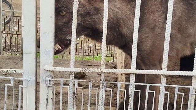 Бетонные полы для ангара которые не пылят и не крошатся, промышленные полы