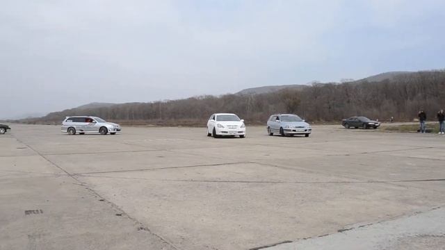 Ватокаты на прогулке.MOV