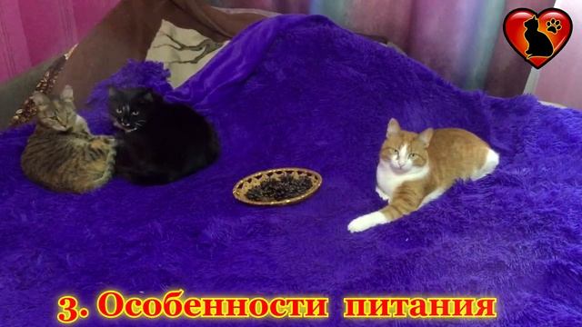 4d8c7168117c7ce538e4761e943fcdad