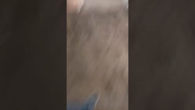 16a0a5d7de31f924634814a8b8eaa997