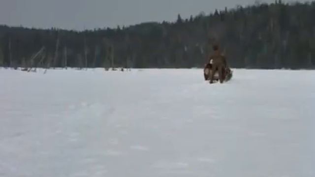 Зов предковРусский филым The call of the wild Film  филым