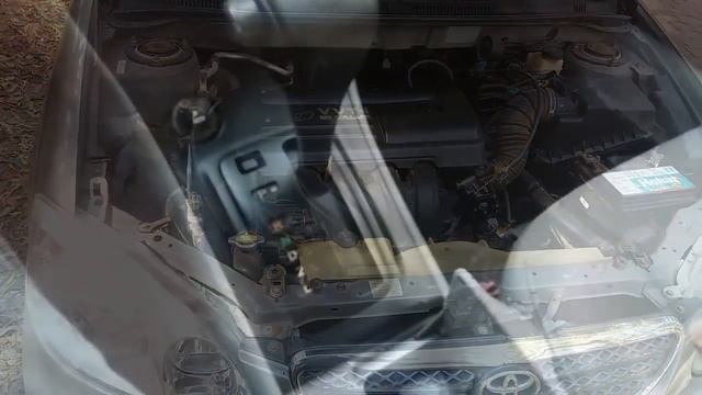 Vale A Pena Comprar Um Toyota Corolla 2003? Olha Só!