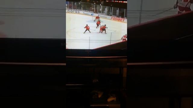 Сверкающие знания