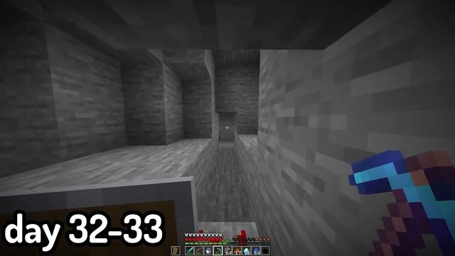 I Survived 100 Days In Minecraft On The Dream SMP Seed