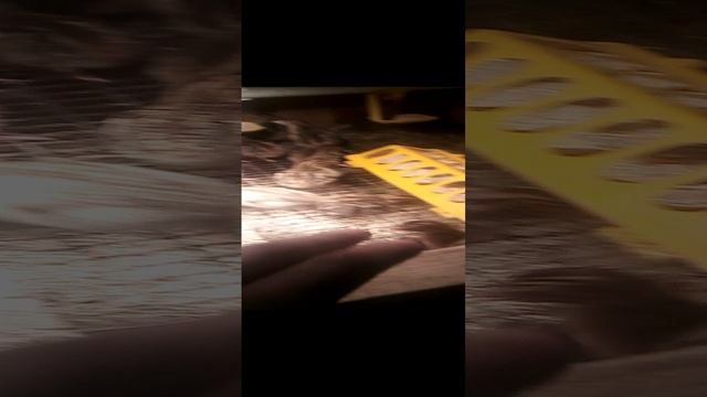 Купили цесарку!