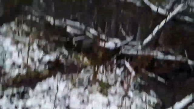 Очередная проверка капканов на куницу первый снег и след куни 2022-2023