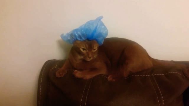 Когда не поймёшь в чём выходить из дома.