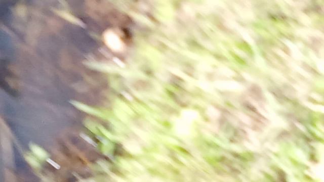 9c77096f64fdd579be164fd52ae4bc7f