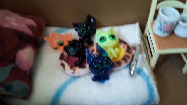 Придумали имена своим новым питомцам!🐱🐱🐱💕❤️🐕🐈🐺