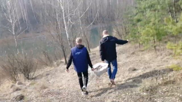 Зарыбление водоёма мальком карпа и сазана.