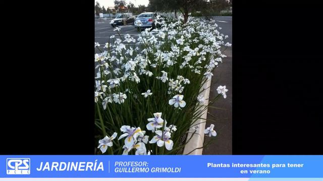 10° Charla De Jardinería 2022 – Bloque 1 - 