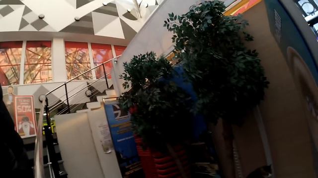 КОТ ГАДИТ В СУПЕРМАРКЕТЕ