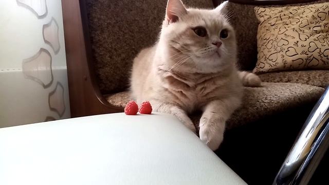 6a4275d54393f731fd4aef7739ce79e8