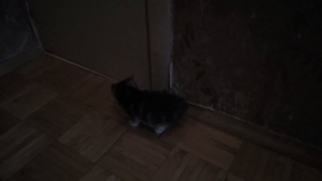 3094f9f16e035ddc0f560b3a6373a24a