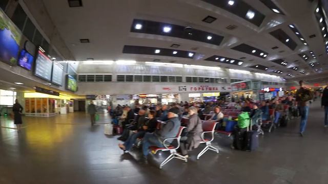 Волонтёры/ Функция 